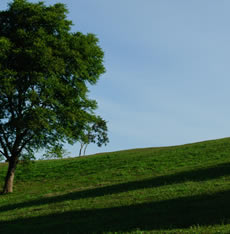 Vacant Land